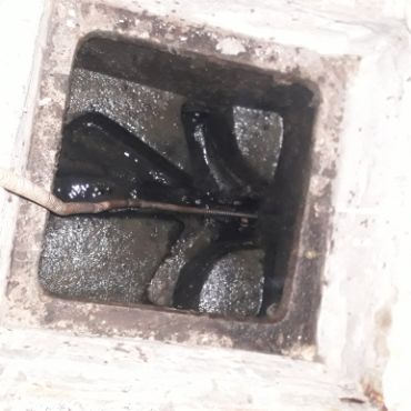 Destapacion de tapa cloacal